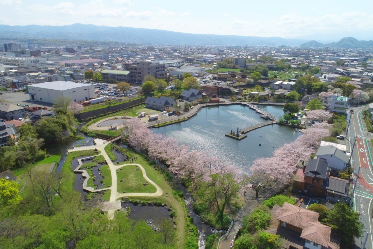  境川・清住緑地・丸池（三島市・清水町）